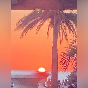 🌺Meet your Posher🌺🎶Rachel P🎶